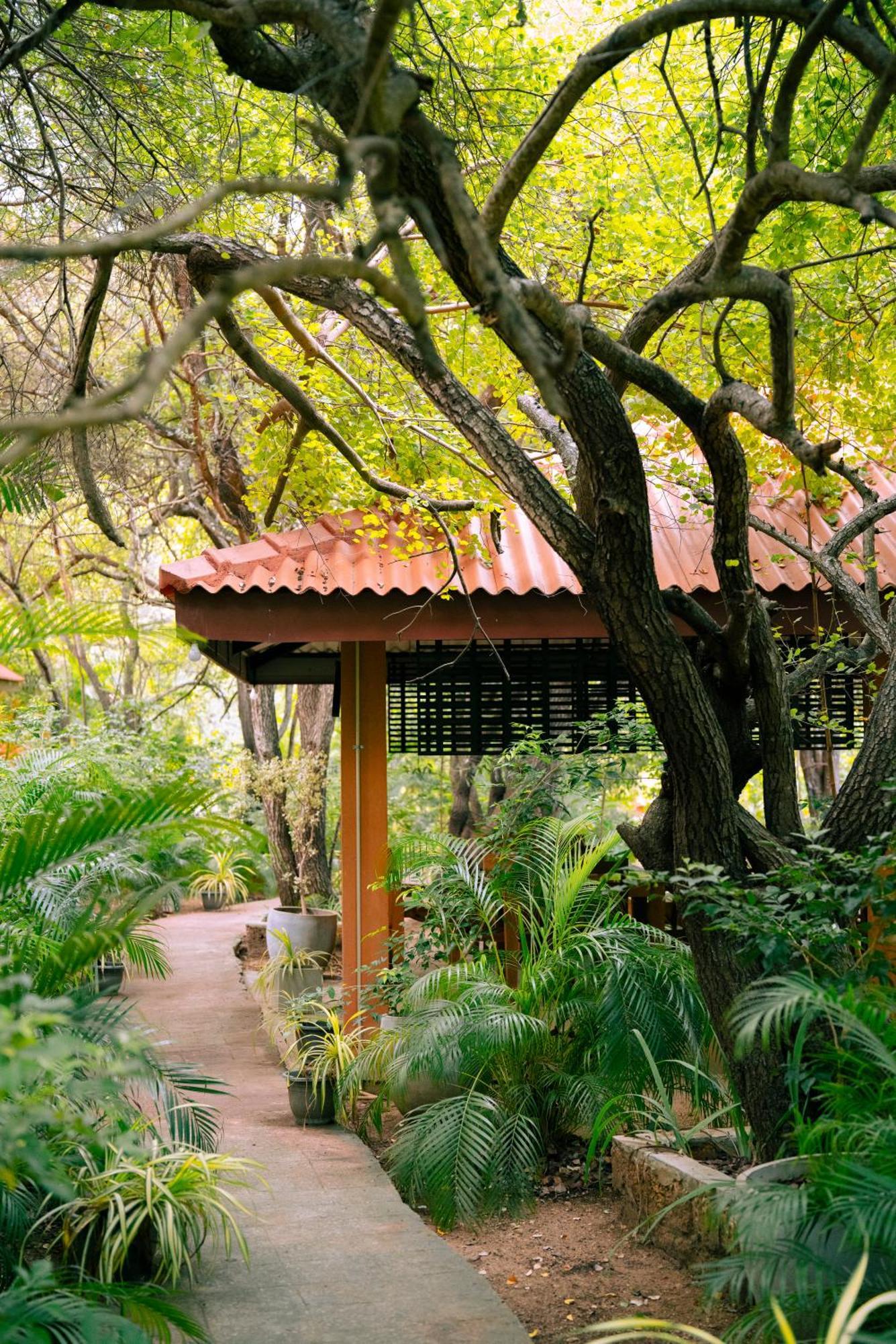 Safari Lodge Yala Kataragama Eksteriør bilde