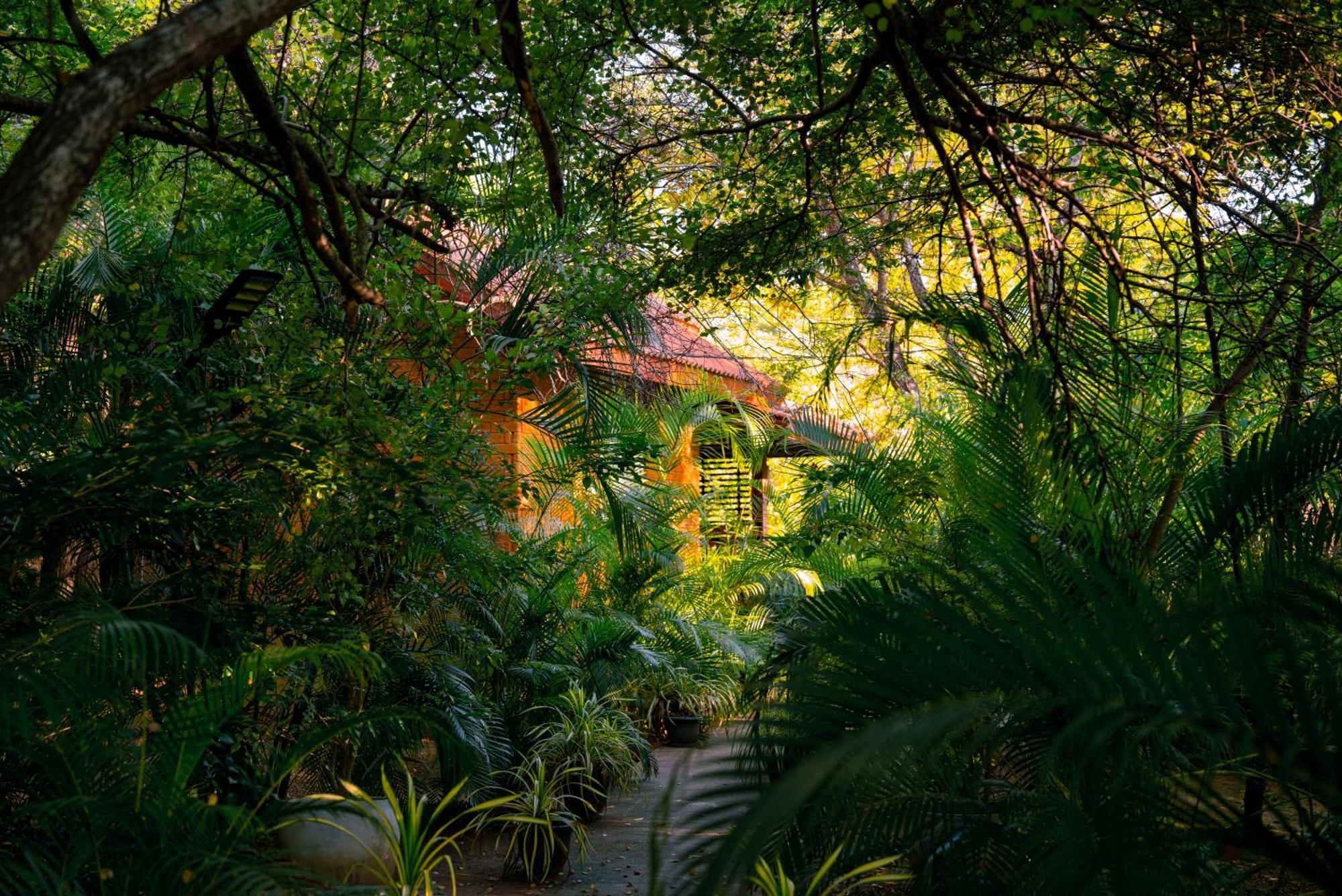 Safari Lodge Yala Kataragama Eksteriør bilde