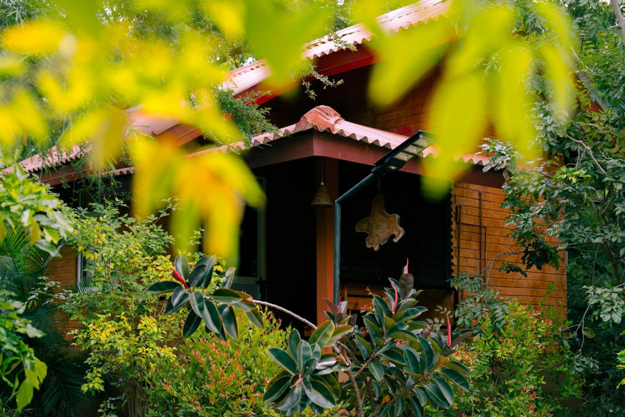 Safari Lodge Yala Kataragama Eksteriør bilde