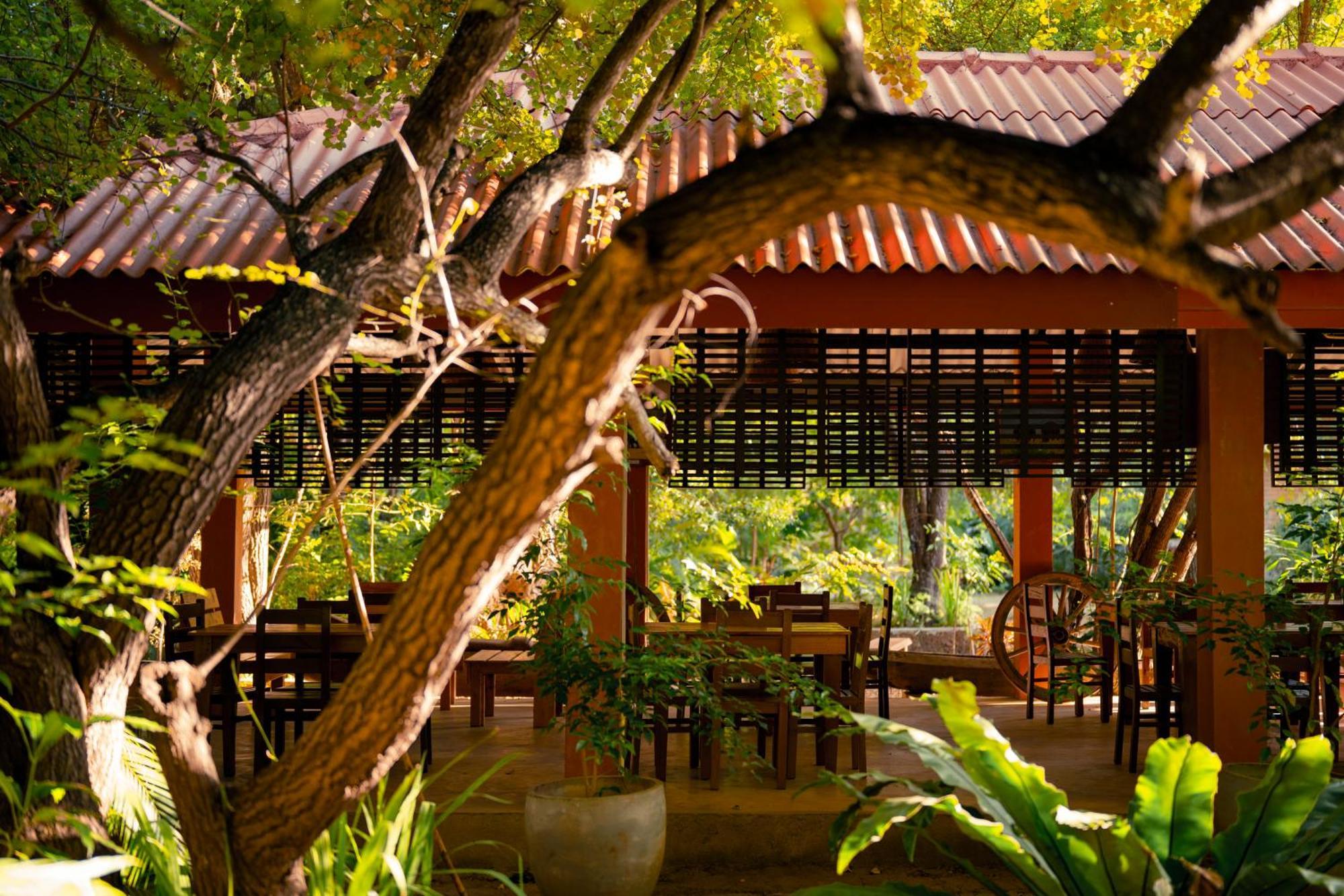 Safari Lodge Yala Kataragama Eksteriør bilde