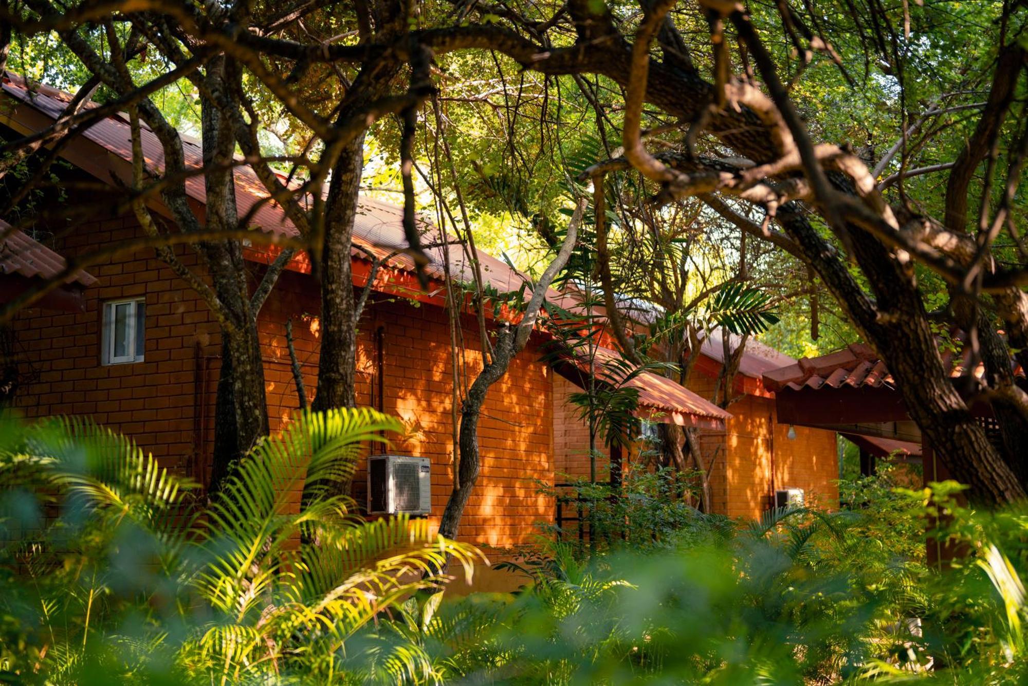 Safari Lodge Yala Kataragama Eksteriør bilde