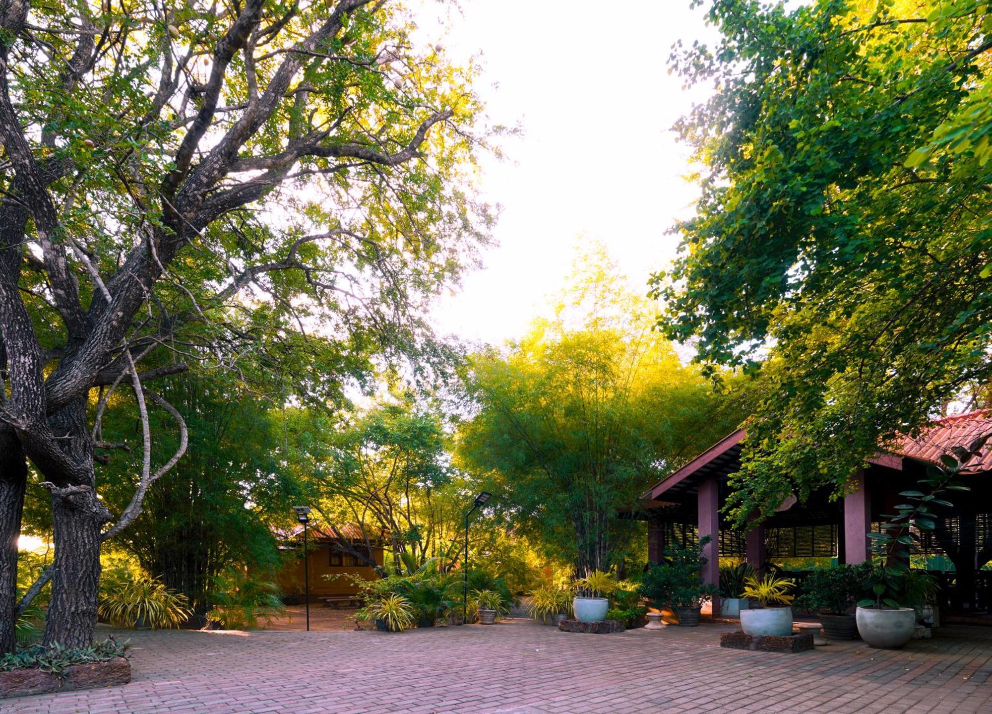 Safari Lodge Yala Kataragama Eksteriør bilde